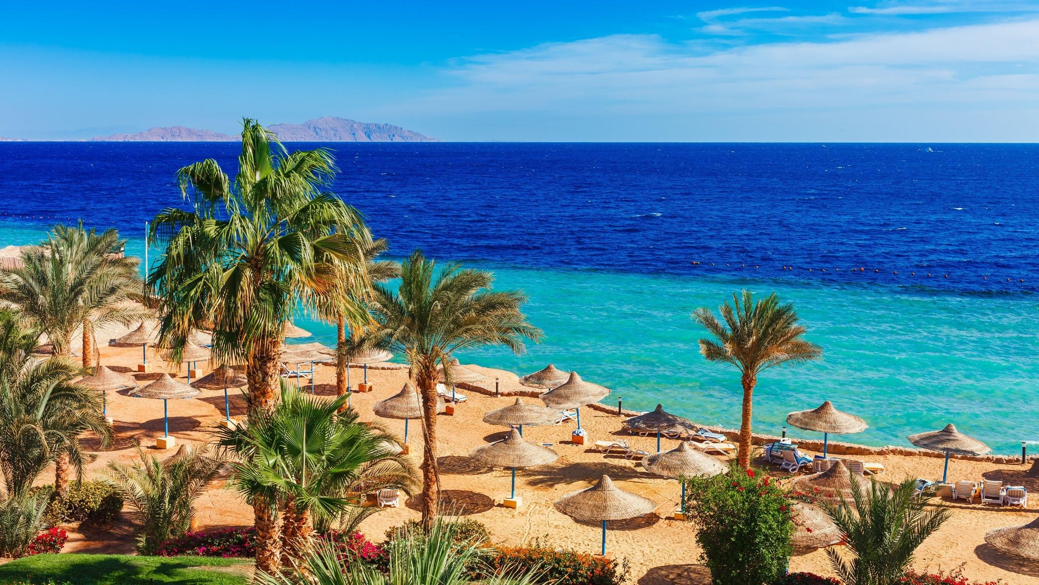 Marsa Alam Tours tours and excursions in Egypt