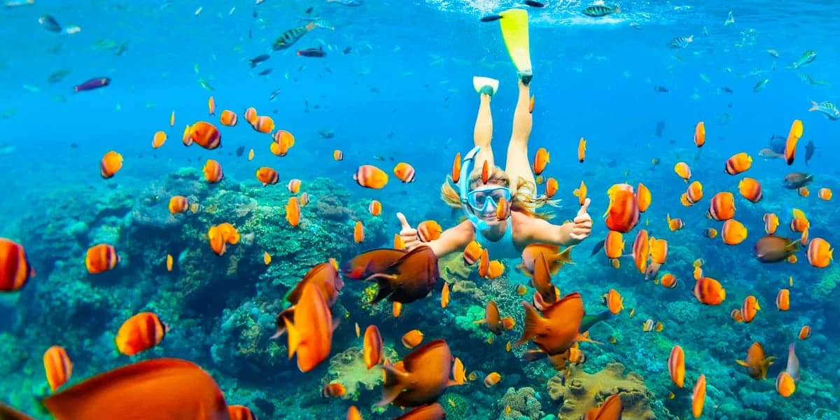 Snorkeling