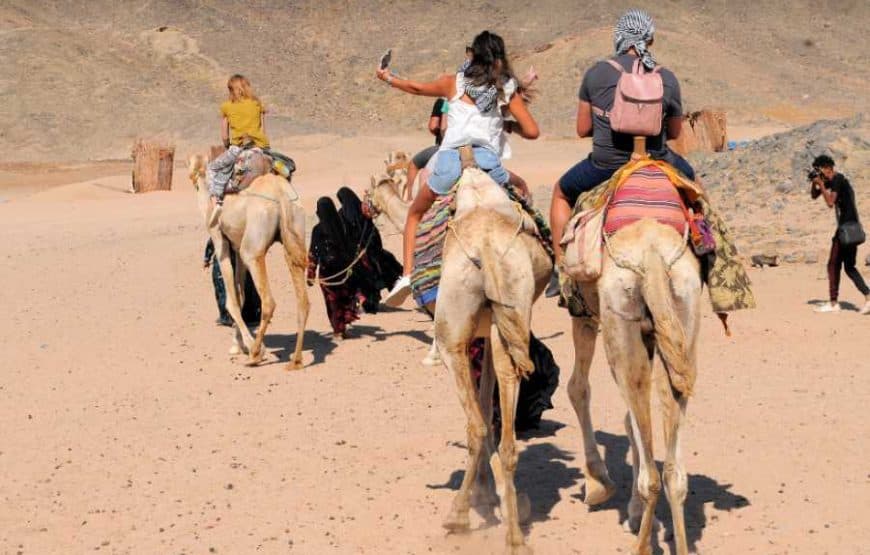 Safari en quad à Hurghada avec village bédouin et chameau 2