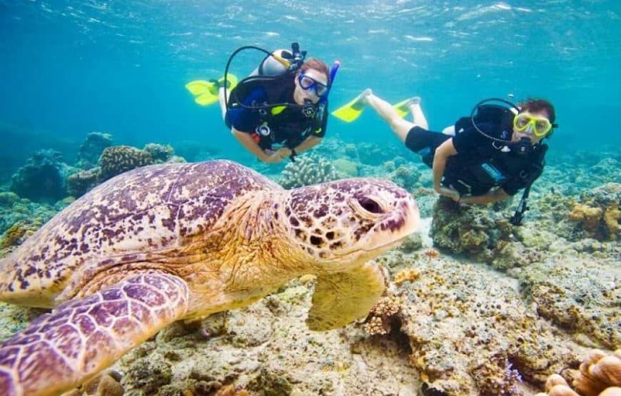 Plongée à Hurghada : deux plongées, bateau et déjeuner 2