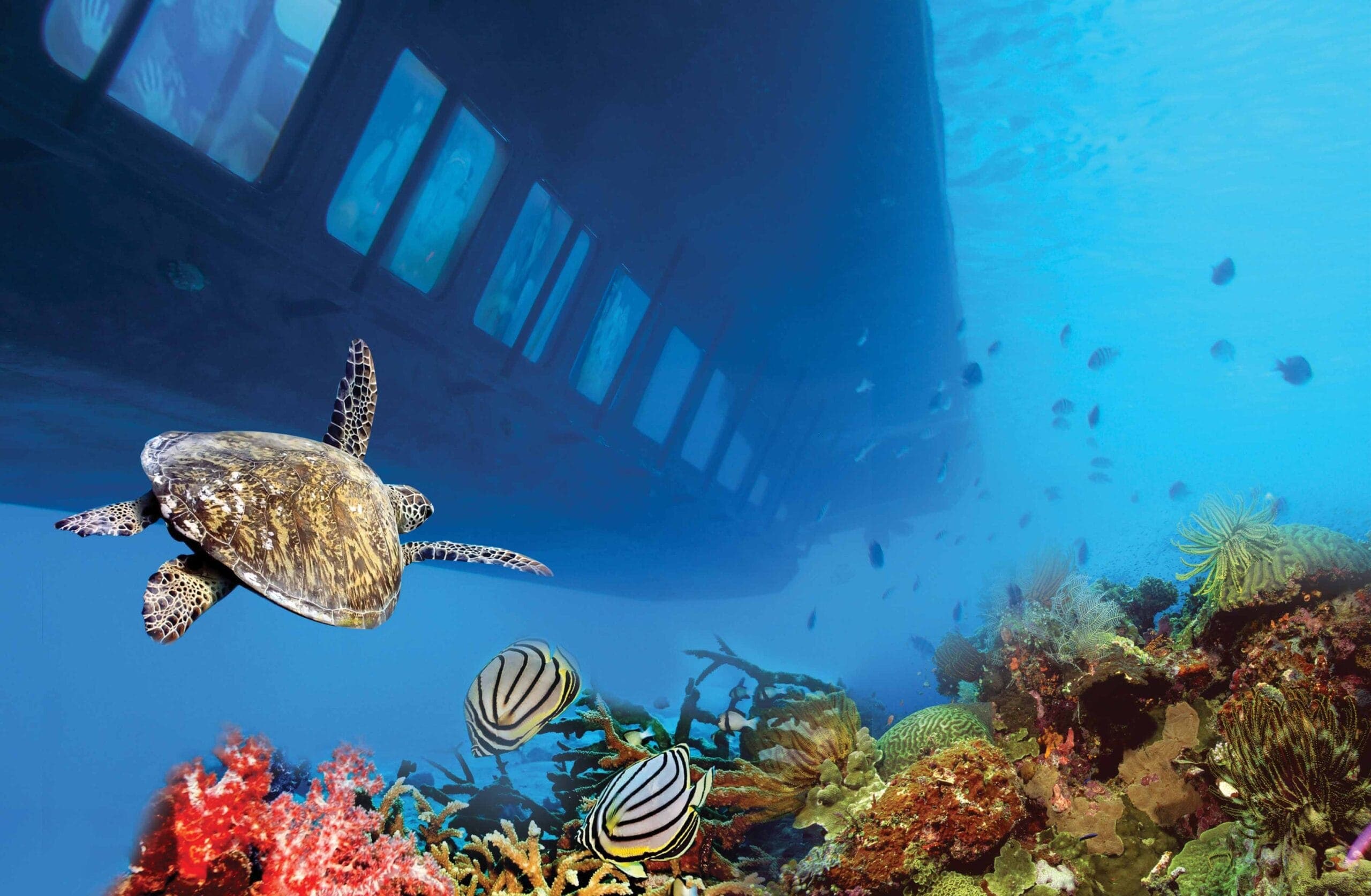 Seascope Hurghada : observer les récifs depuis un bateau panoramique 3