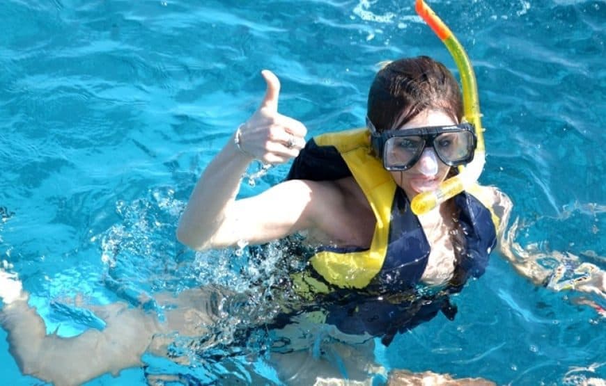 Swimming with Dolphins & Snorkeling Trip in Hurghada