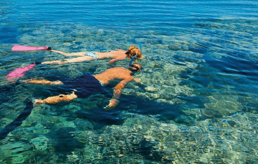 Maison des dauphins à Hurghada : croisière snorkeling et déjeuner 2