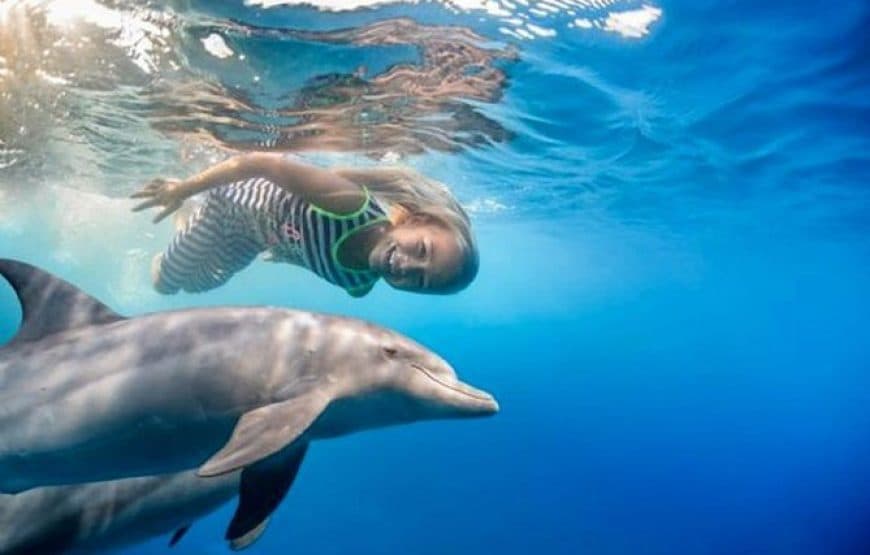 Maison des dauphins à Hurghada : croisière snorkeling et déjeuner 3