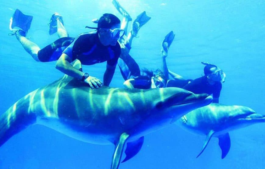 Maison des dauphins à Hurghada : croisière snorkeling et déjeuner 4