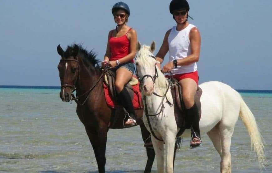 Balade à cheval à Hurghada : plage et désert 4