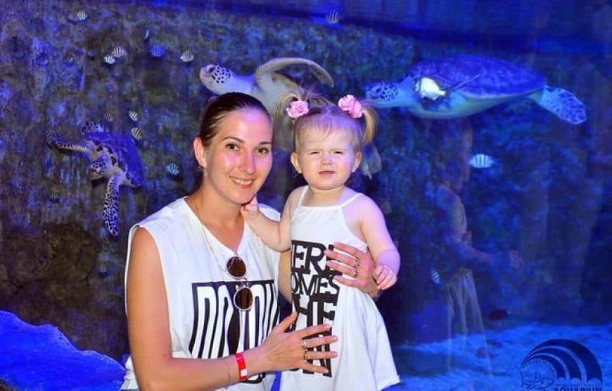Hurghada Grand Aquarium Tour with Tickets & Transfers