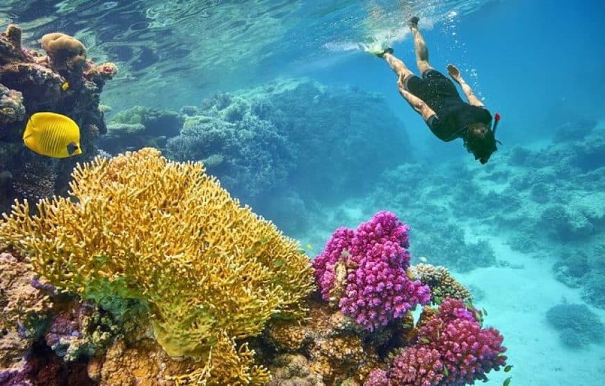 Île Giftun depuis Hurghada : snorkeling en journée complète