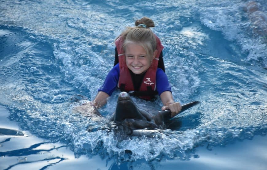 Excursion en hors-bord à Hurghada : dauphins, snorkeling et îles