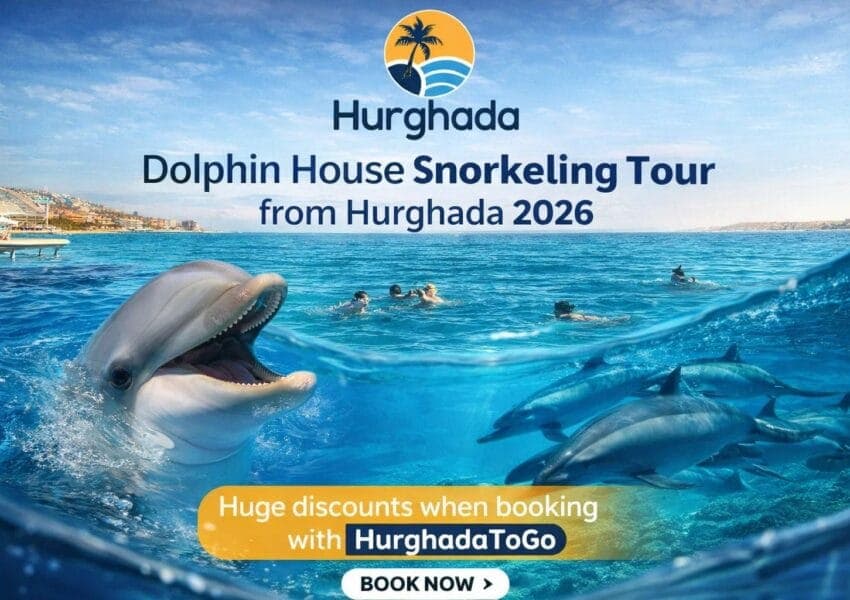 Dolphin House Snorkeling Tour from Hurghada