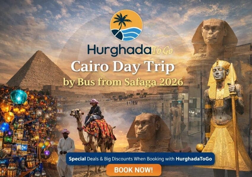 Cairo Day Trip by Bus from Safaga