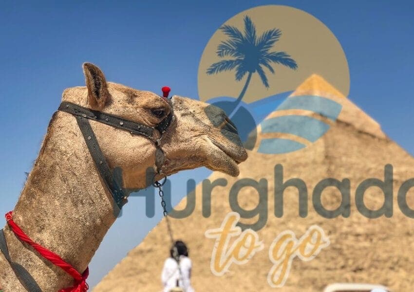 Egypt Itinerary Examples: Plan Your Perfect Adventure