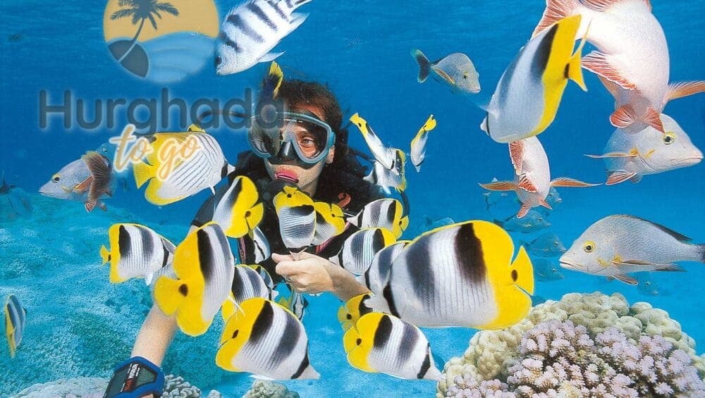 Découverte de la Mer Rouge à Hurghada : aventures avec HurghadaToGo