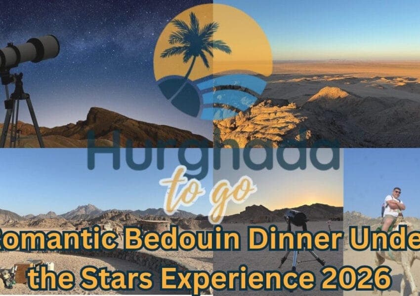 Romantic Bedouin Dinner Under the Stars: Desert Evening Guide