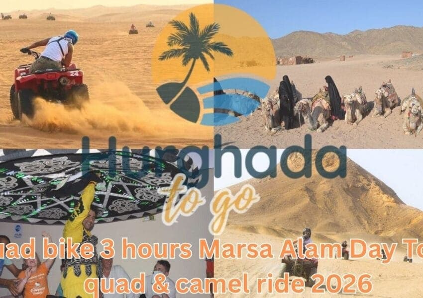 Marsa Alam Quad Bike and Camel Ride: Three-Hour Desert Safari