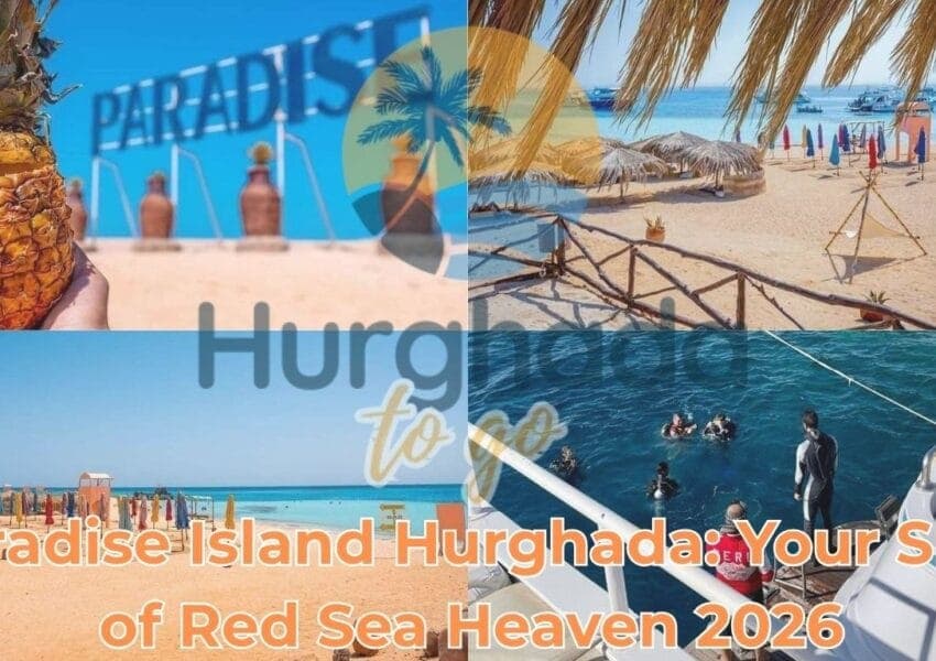Paradise Island Hurghada: Beach Escape, Snorkeling and Families